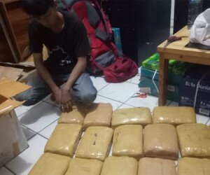 Pelaku bersama barang bukti 39 Kg ganja diamankan petugas Satresnarkoba Polresta Depok (angga)