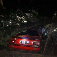 Pohon tumbang di UP yang menimpa dua mobil. (wandi)