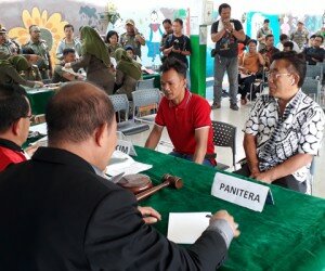 Satpol PP Jakbar menggelandang 50 pelanggar Perda No 8 Tahun 2007 tentang Ketertiban Umum di DKI Jakarta dalam sidang yustisi di RPTRA Kalijodo, Selasa (5/11/2019). (rachmi)