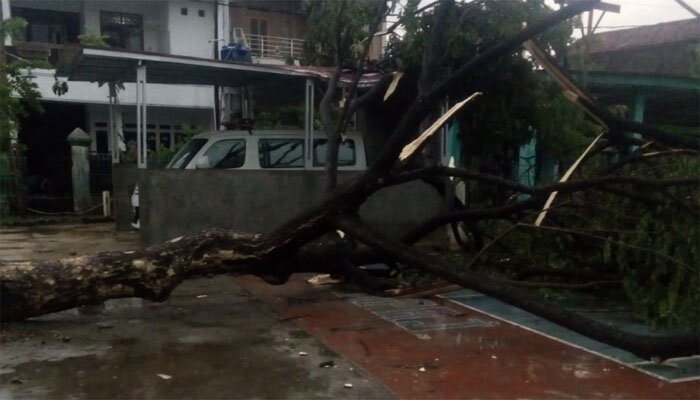 Angin puting beliung hancurkan rumah dan tumbangkan pohon.(angga)