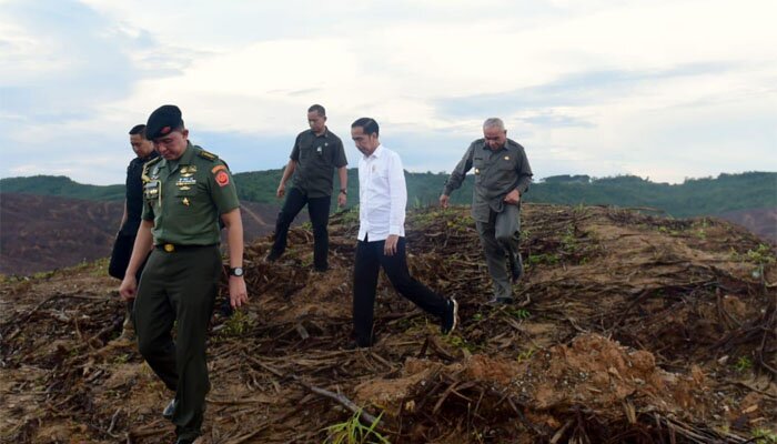 Presiden Jokowi saat meninjau lokasi bakal Ibukota negara baru di Kaltim.