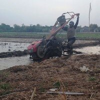 Seorang operator membawa pulang traktor ke rumah sehabis dioperasikan membajak sawah. (taryani)