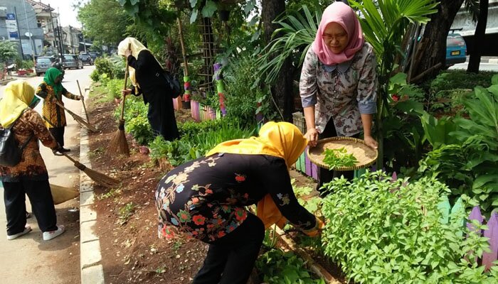 Panen sayuran warga kelurahan Susukan, Ciracas. (Ifand)